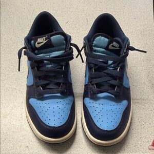 Nike Low-Top Sneakers in Light Blue and Navy